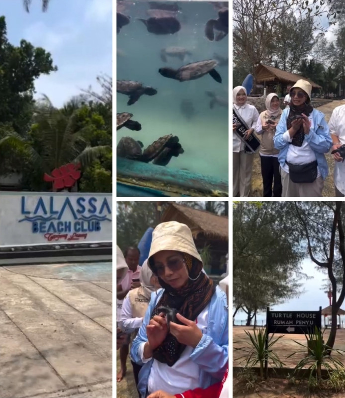 Suasana konservasi penyu di Lalassa Beach, Tanjung Lesung